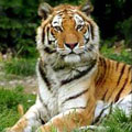 Wildlife centres & nature reserves, Isle of Wight