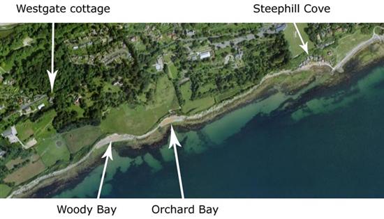 This is a satelite plan view of the immediate area. It is a short walk to the the costal path where you can choose to walk West towards St Catherines Lighthouse and the Buddle Inn or East through the Botanical Gardens and towards Steephill Cove and Ventnor. Click on this image for a larger version.